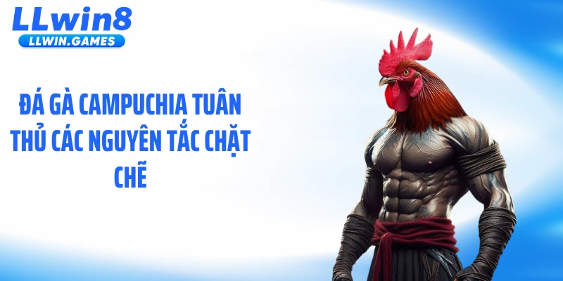 Đá Gà Campuchia Gây Sốt Với Nhịp Độ Trận Đấu Kịch Tính Đá gà Campuchia tuân thủ các nguyên tắc chặt chẽ