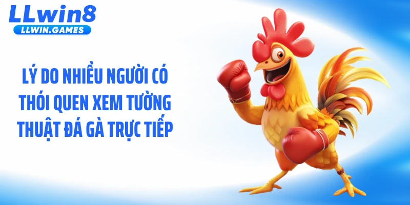 Tường Thuật Đá Gà Trực Tiếp: Diễn Biến Nghẹt Thở Từng Giây Lý do nhiều người có thói quen xem tường thuật đá gà trực tiếp