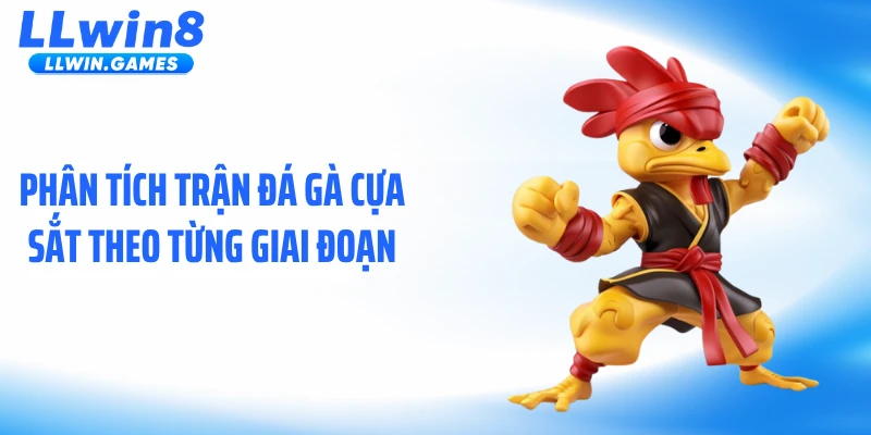 Đá Gà Cựa Sắt: Sự Thật Sau Những Cú Đá Chớp Nhoáng Phân tích trận đá gà cựa sắt theo từng giai đoạn