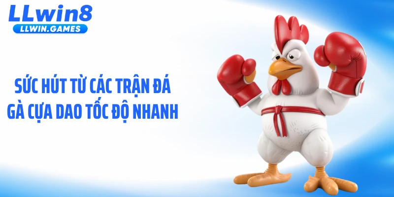 Đá Gà Cựa Dao: Sát Phạt Tốc Độ Khiến Người Xem Nghẹt Thở Sức hút từ các trận đá gà cựa dao tốc độ nhanh